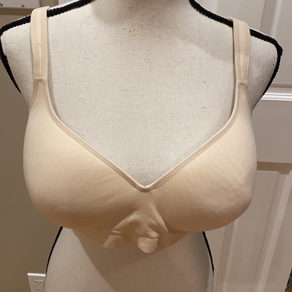 Carol Hochman Padded Bra